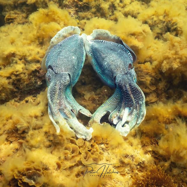 Photo 2 by Peter H. (7/7/25)