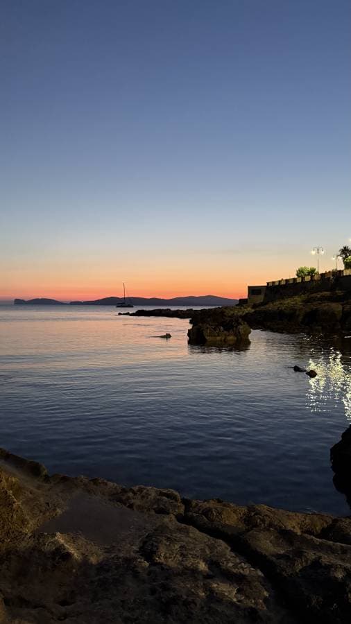 Photo 2 by Liviu A. (7/6/25)