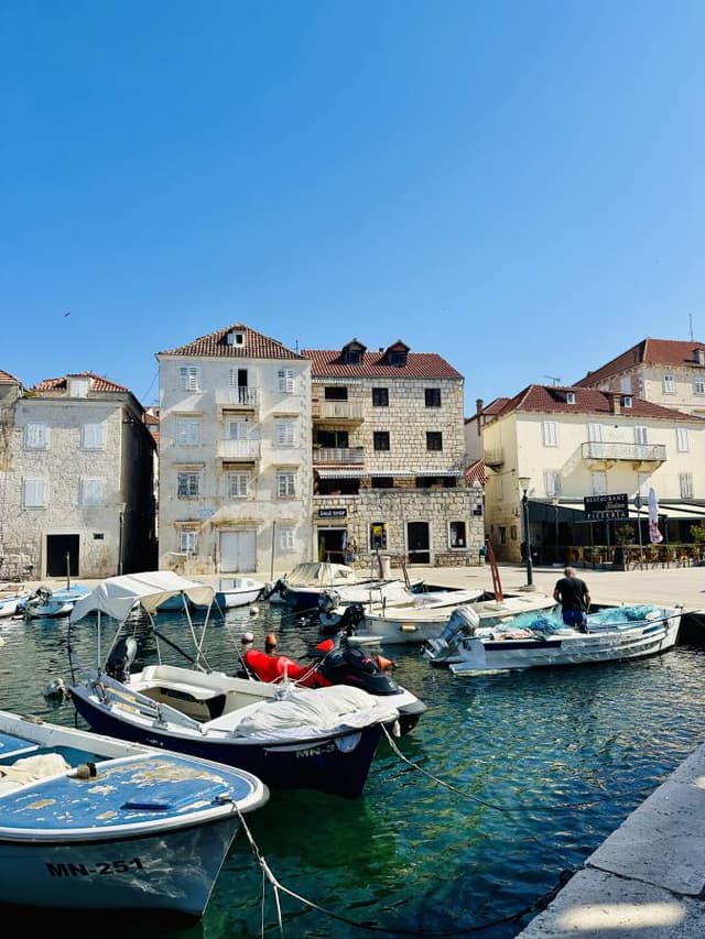 Photo 2 by Sara L. (7/12/24)