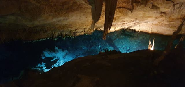 Photo 7 by Doychin D. (4/19/24)