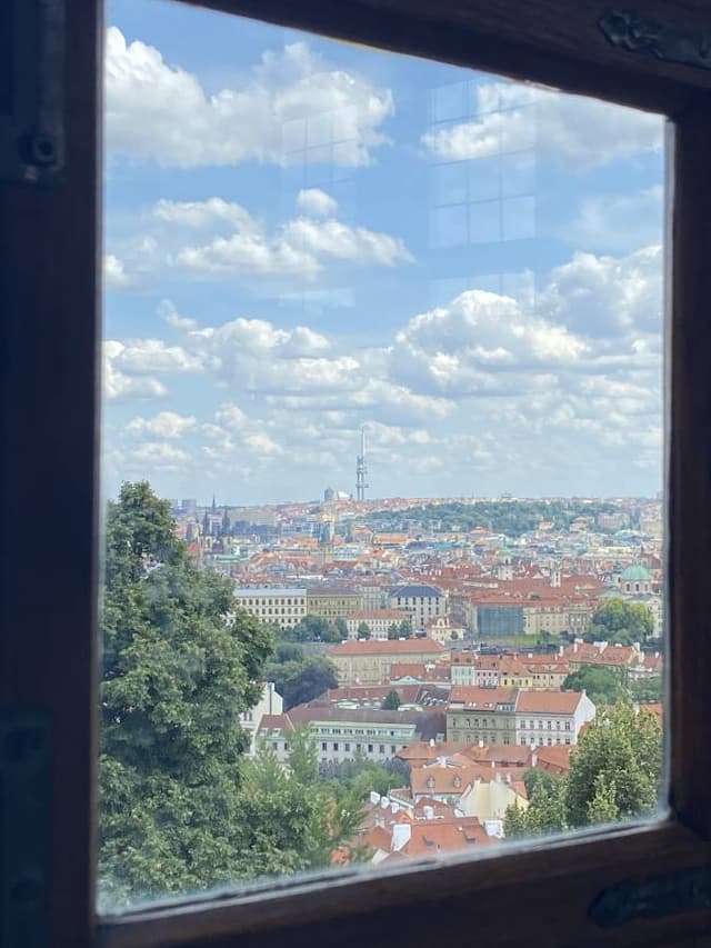 Photo 6 by Heidi N. (7/29/24)