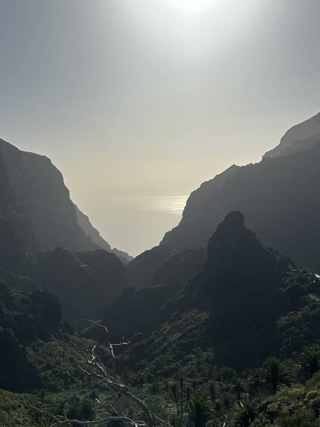 Photo 3 by Francesco C. (3/4/26)