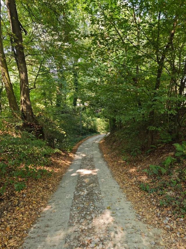 Photo 1 by Abdullah A. (9/10/24)