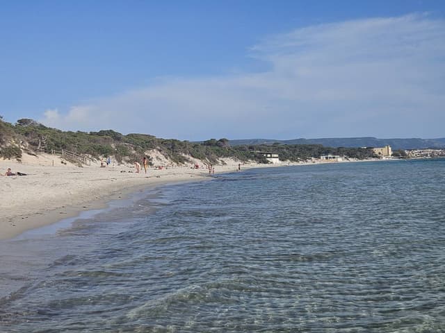 Photo 3 by Magdalena C. (5/12/24)