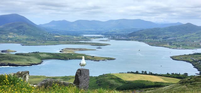 Photo 2 by Wan Zainuddin B. (6/30/24)