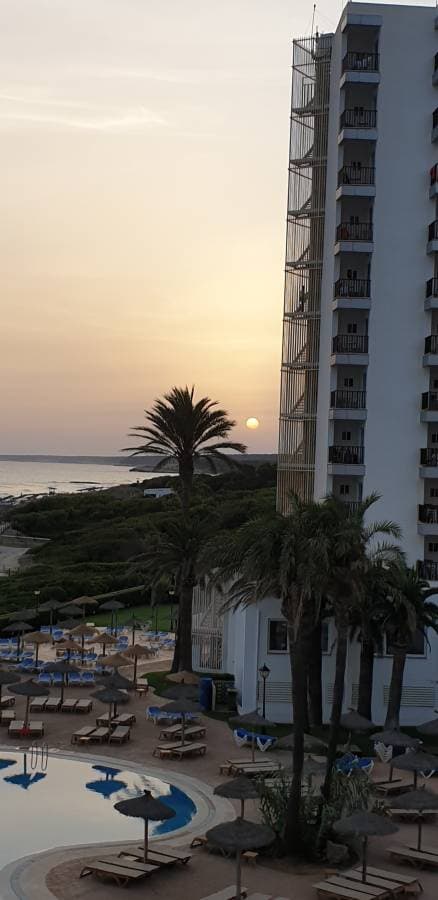 Photo 3 by Bruna C. (7/2/24)