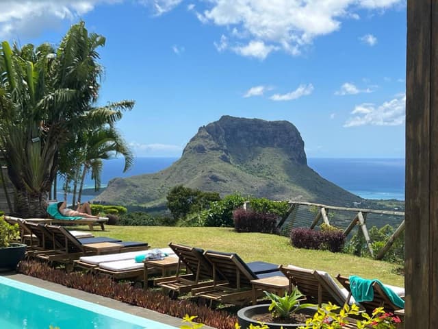 Photo 3 by Michael F. (1/16/25)