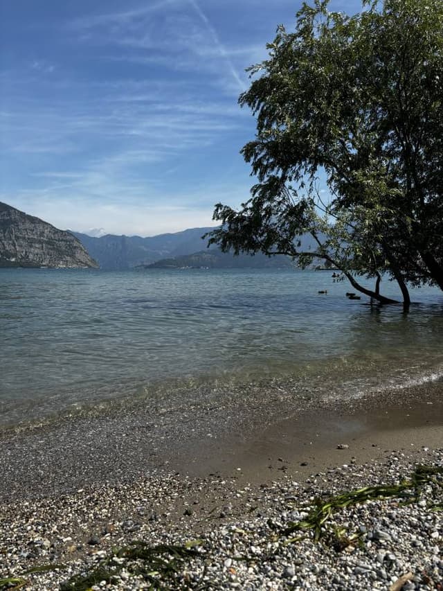 Photo 6 by Henrik G. (8/13/24)