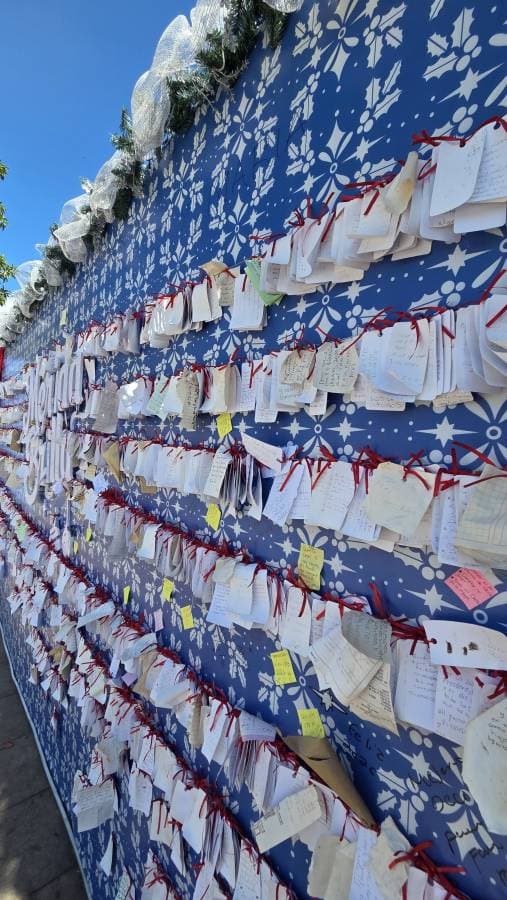 Photo 5 by Aleksander W. (1/26/26)