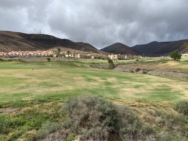 Photo by Mark Jan W. (2/12/23)