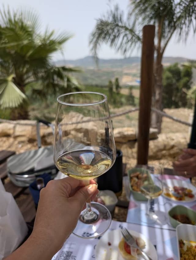 Photo 2 by Elisa M. (6/26/24)