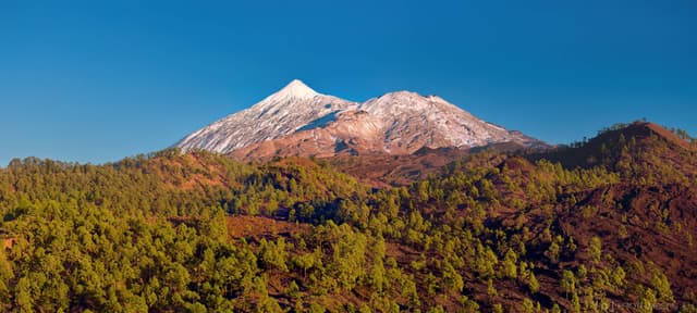 Photo by Martin M. (1/1/25)