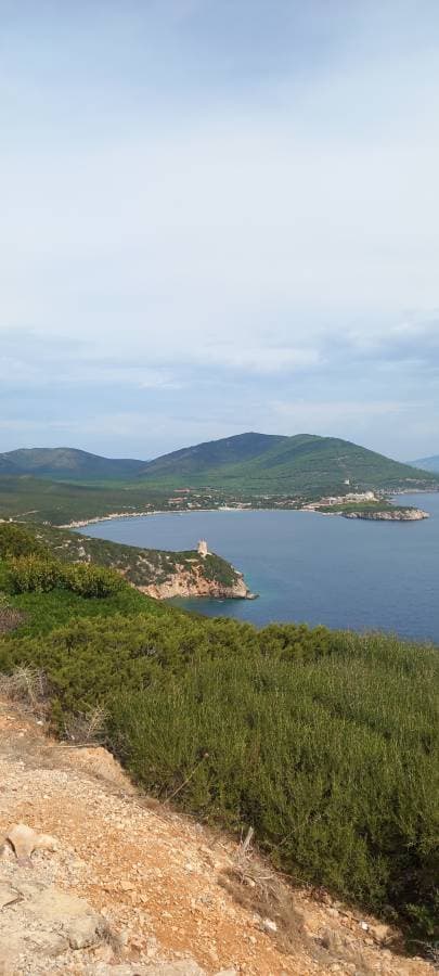 Photo 13 by Rafael S. (12/24/23)