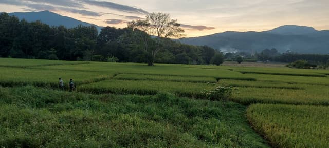 Photo 2 by Kok Loon Y. (11/4/25)