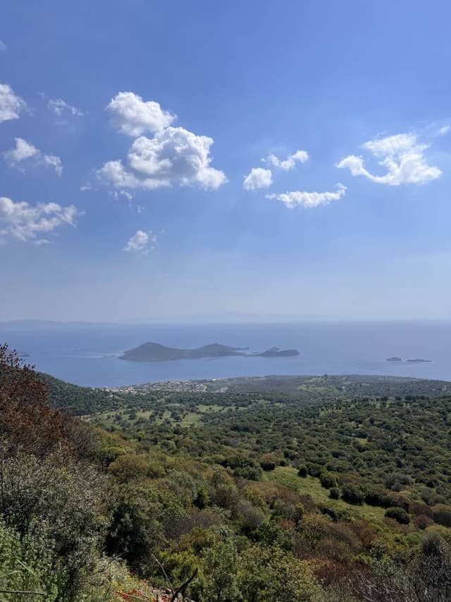 Photo 3 by Ulas C. (10/26/23)