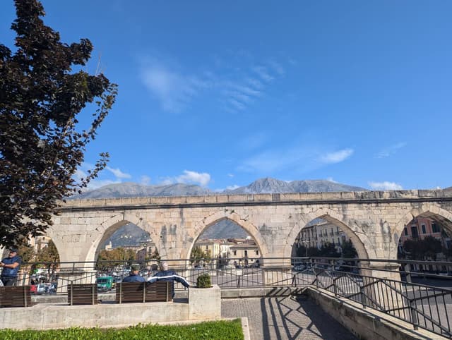 Photo 1 by Peter M. (10/29/24)