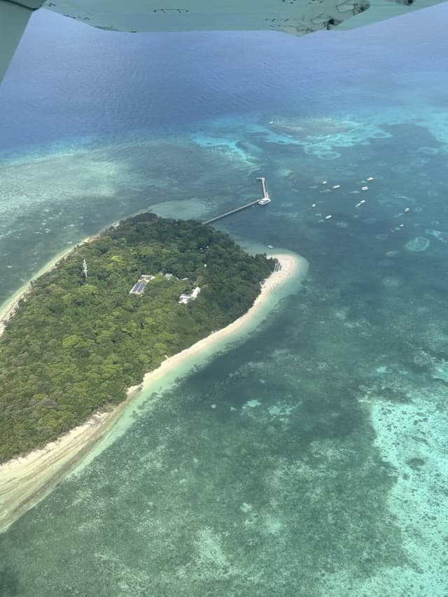 Photo 5 by Petrus V. (10/15/25)