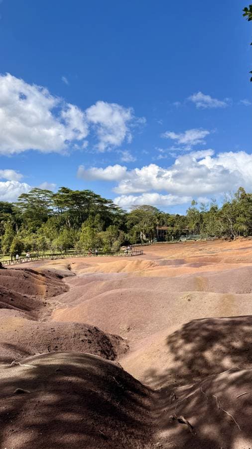 Photo 3 by Nikolay T. (6/27/25)