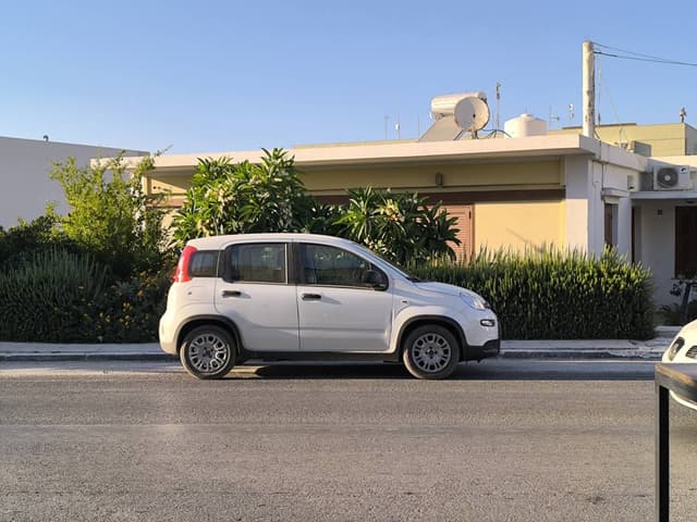 Photo by Ricardo-Szabolcs-Gabriel B. (8/2/24)