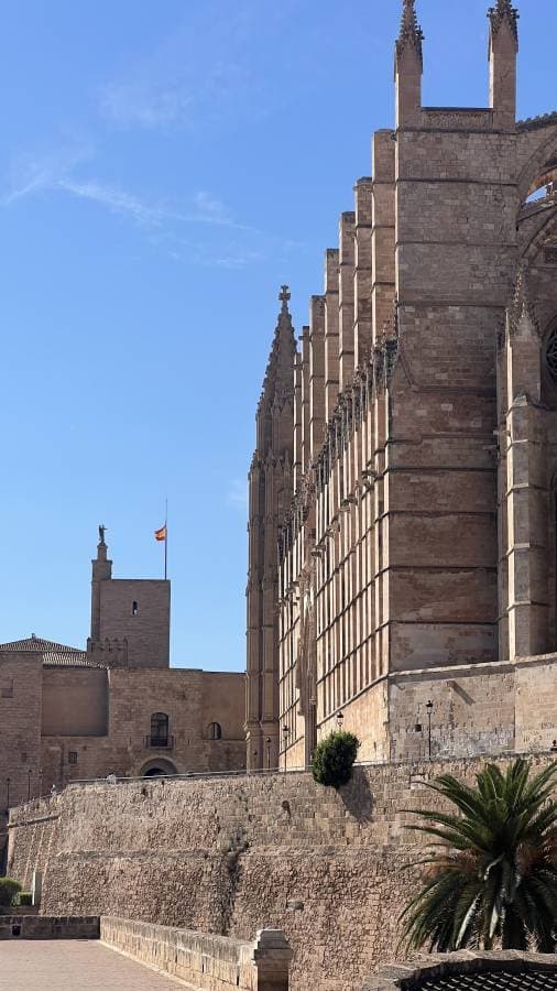 Photo 1 by Emanuele G. (8/18/24)