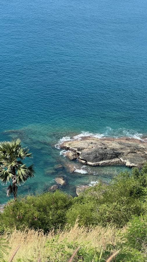 Photo 2 by PINHAS A. (12/10/24)