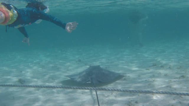 Photo 4 by Coralie U. (2/22/26)