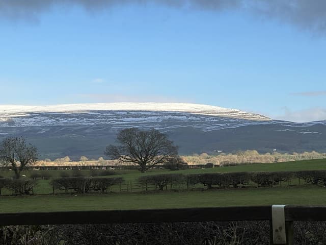 Photo 1 by Russell W. (12/9/23)