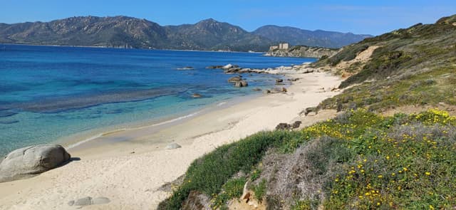 Photo 2 by Sergio B. (3/13/25)