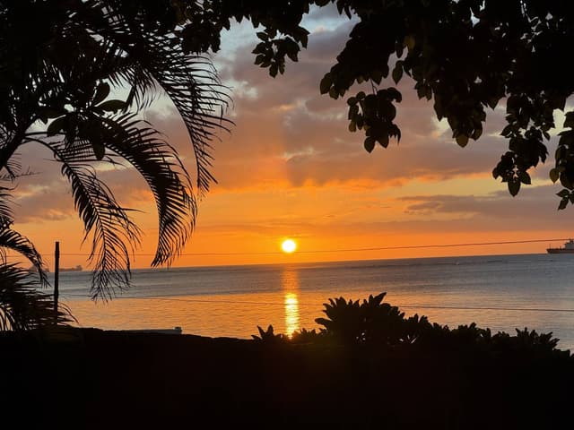 Photo 4 by Michael F. (1/16/25)