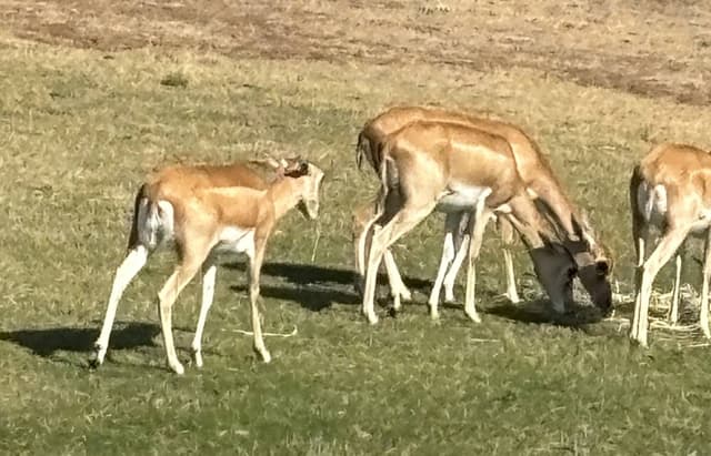 Photo 4 by Rodney C. (2/16/26)