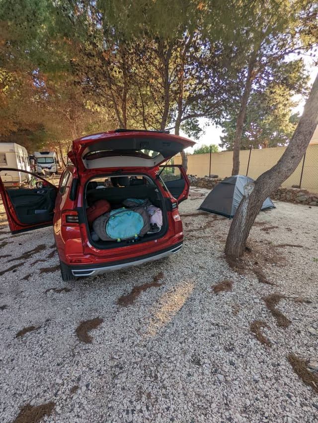 Photo by Warren B. (10/20/22)