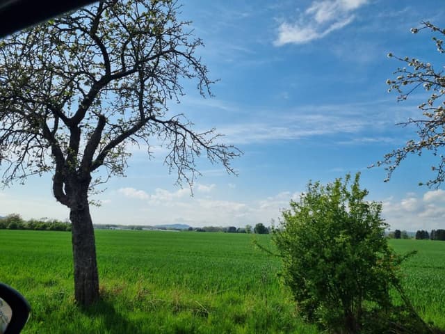 Photo 3 by Sagi A. (4/15/24)