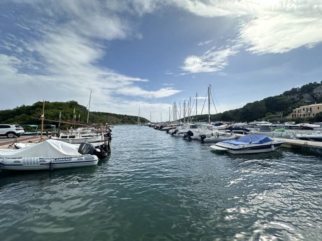 Photo 2 by Adelina T. (10/10/24)