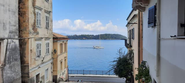 Photo by BORIS V. (11/2/23)