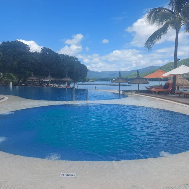 Photo 3 by Carol T. (3/20/24)