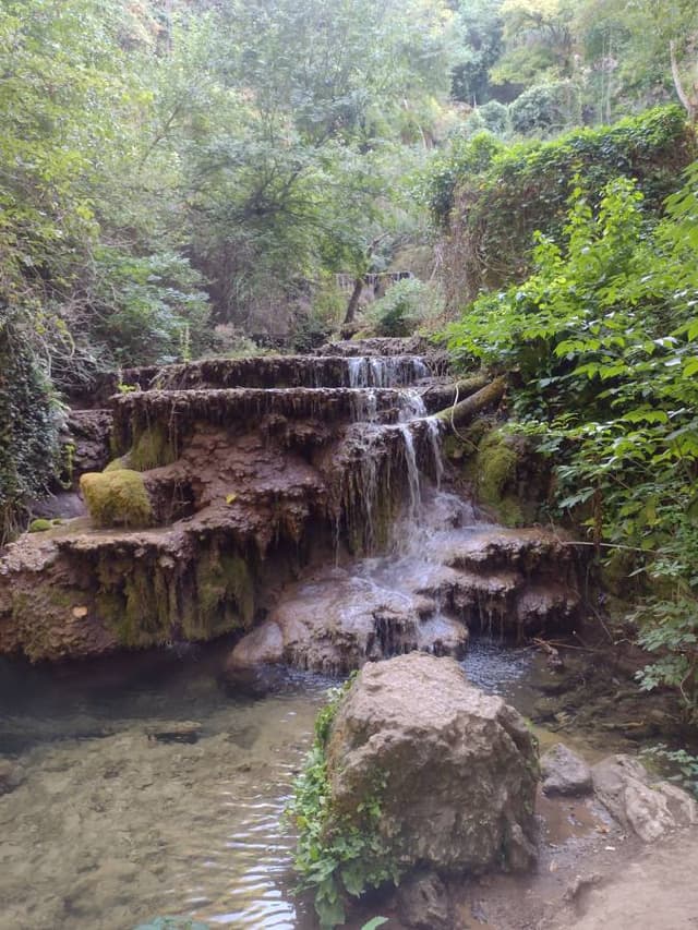 Photo 2 by Dominic J. (9/24/25)