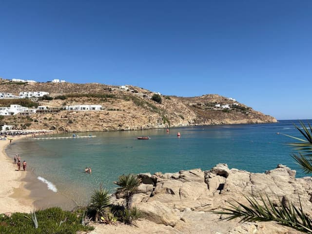 Photo 2 by Viviana M. (10/1/25)