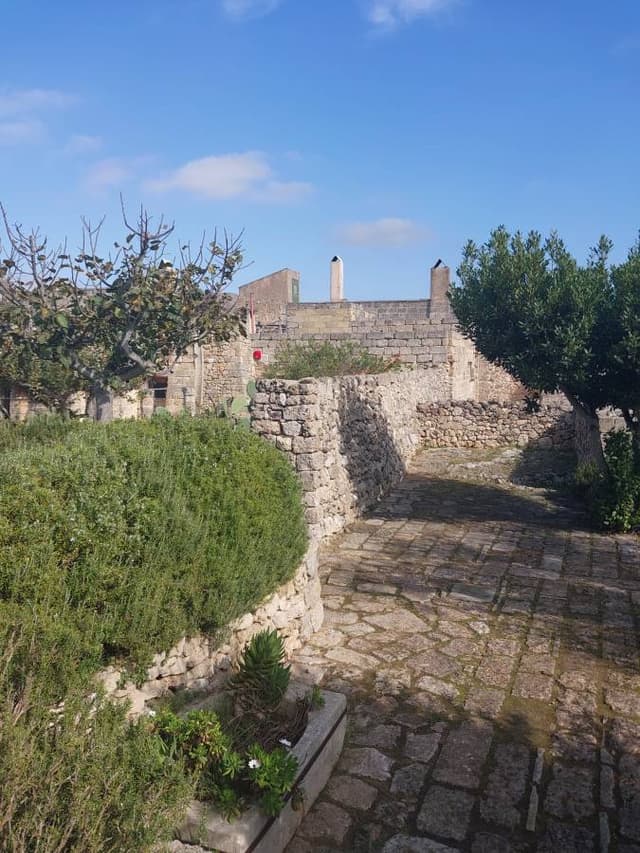 Photo 6 by Peter U. (10/29/24)