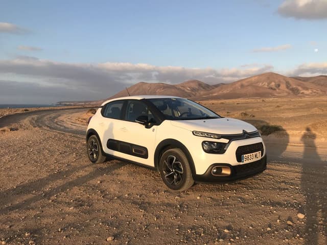 Photo by Sebastian M. (1/19/25)