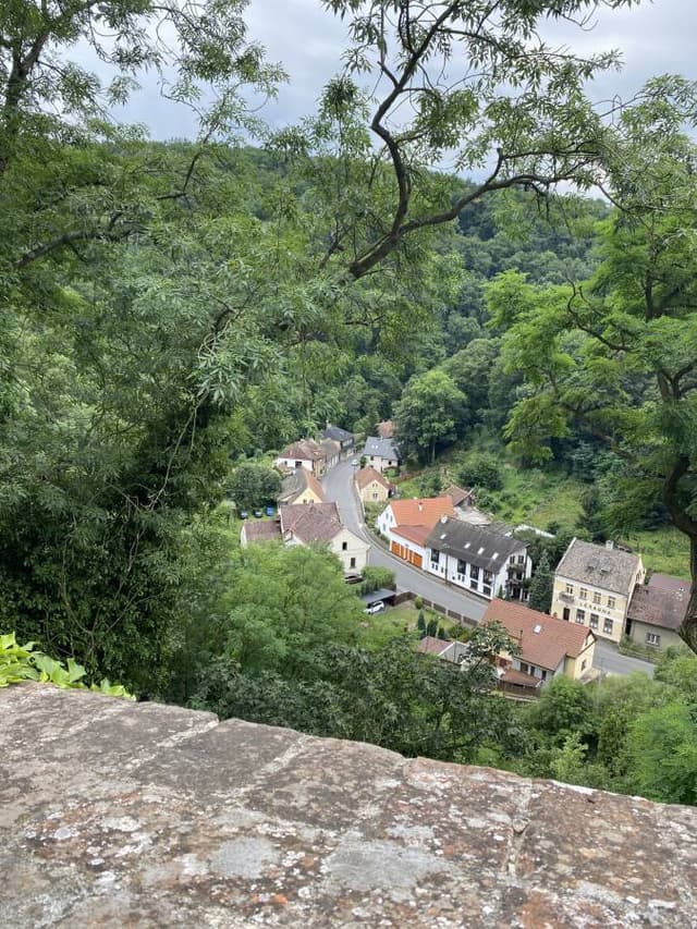 Photo 7 by Heidi N. (7/29/24)