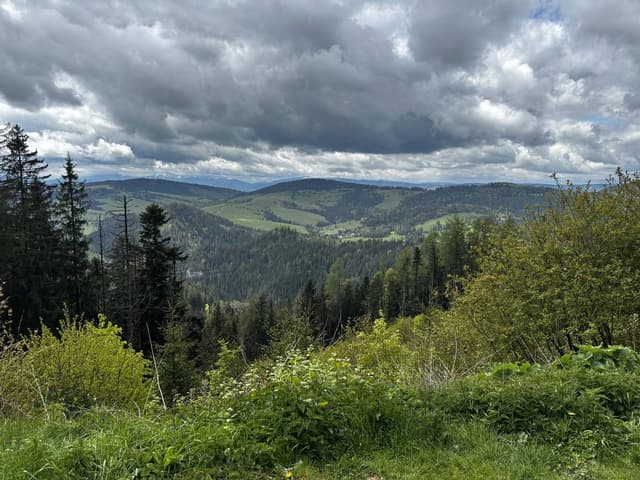 Photo 4 by Peter M. (5/22/25)