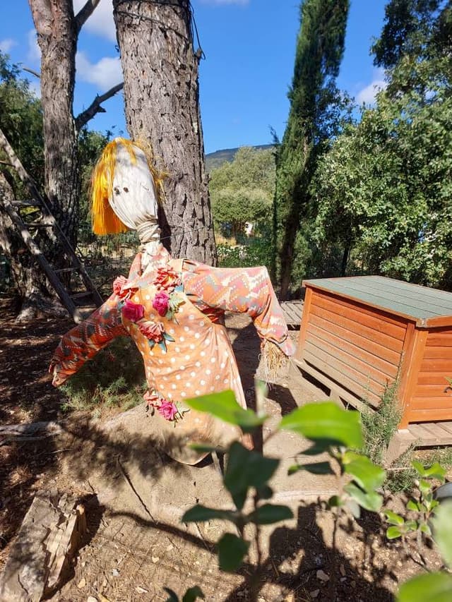 Photo 2 by Israel S. (10/12/22)