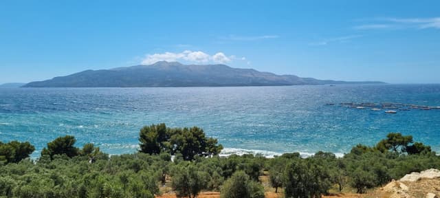 Photo 3 by Mahmud K. (6/15/24)