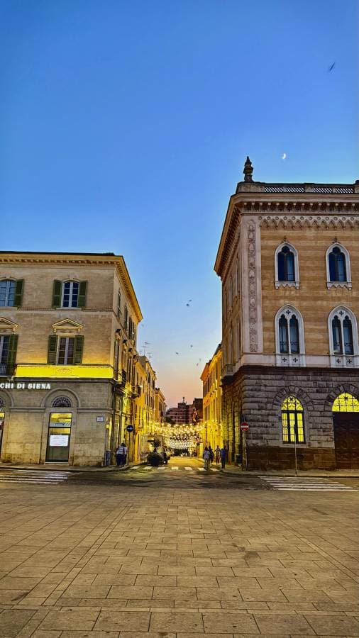 Photo 3 by Liviu A. (7/6/25)