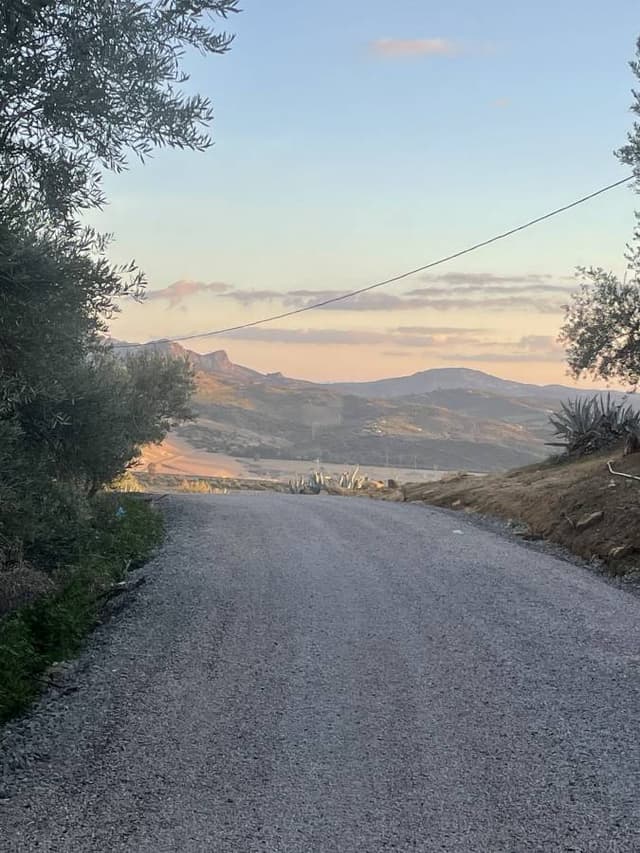 Photo 2 by Hamad A. (1/15/25)