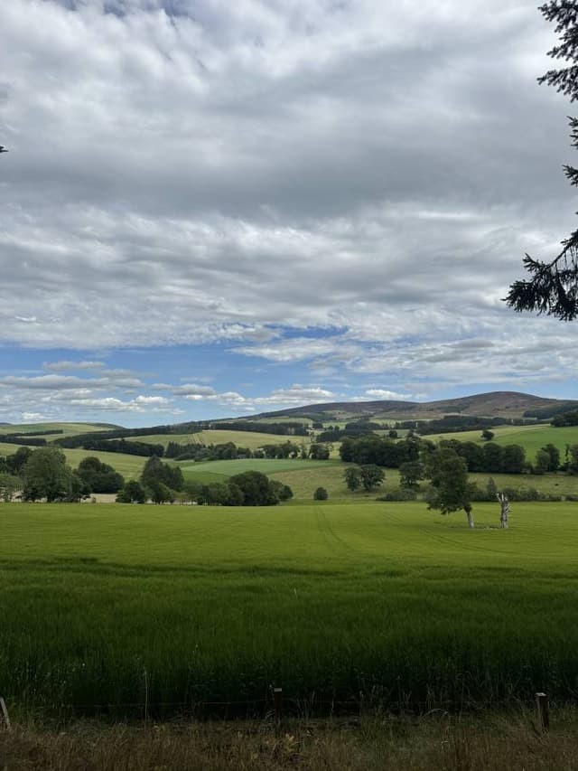 Photo 3 by Silje M. (7/11/25)