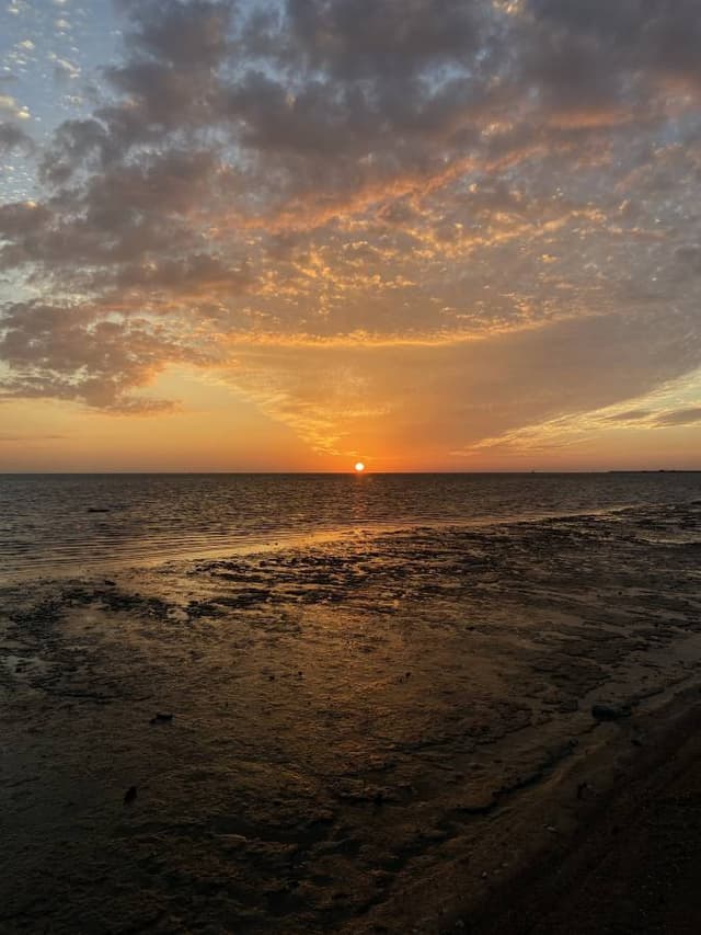 Photo 2 by Anthony P. (11/26/23)