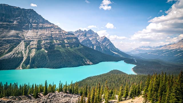 Photo 1 by Paulo M. (7/11/23)