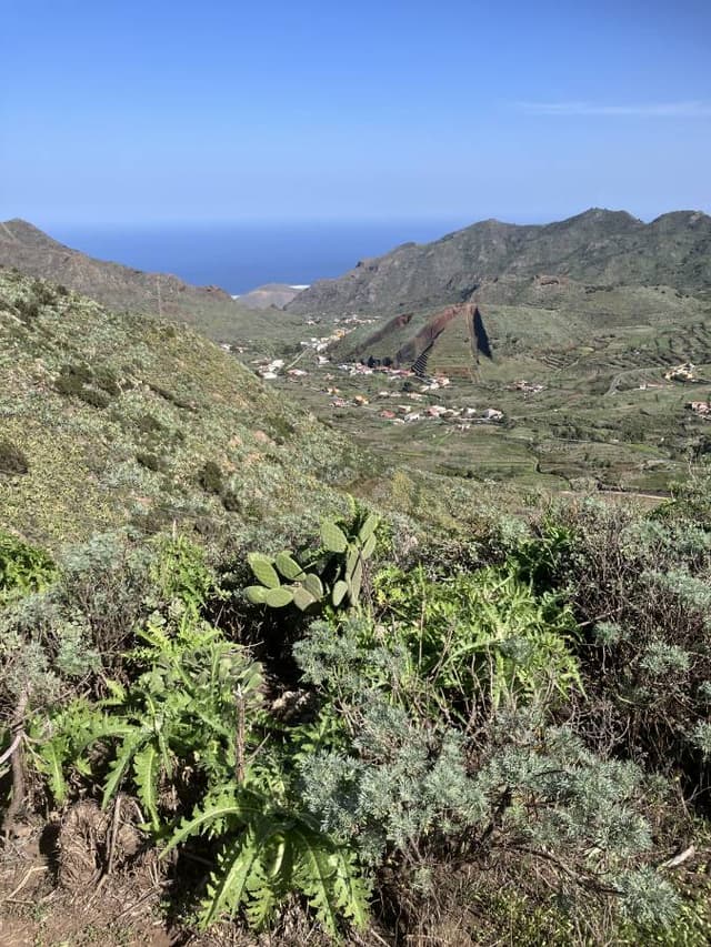 Photo 4 by John S. (11/29/23)