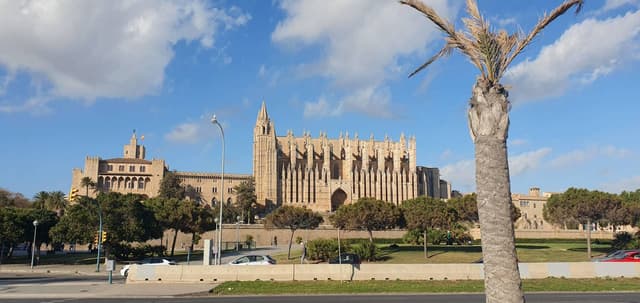 Photo 8 by Doychin D. (4/19/24)